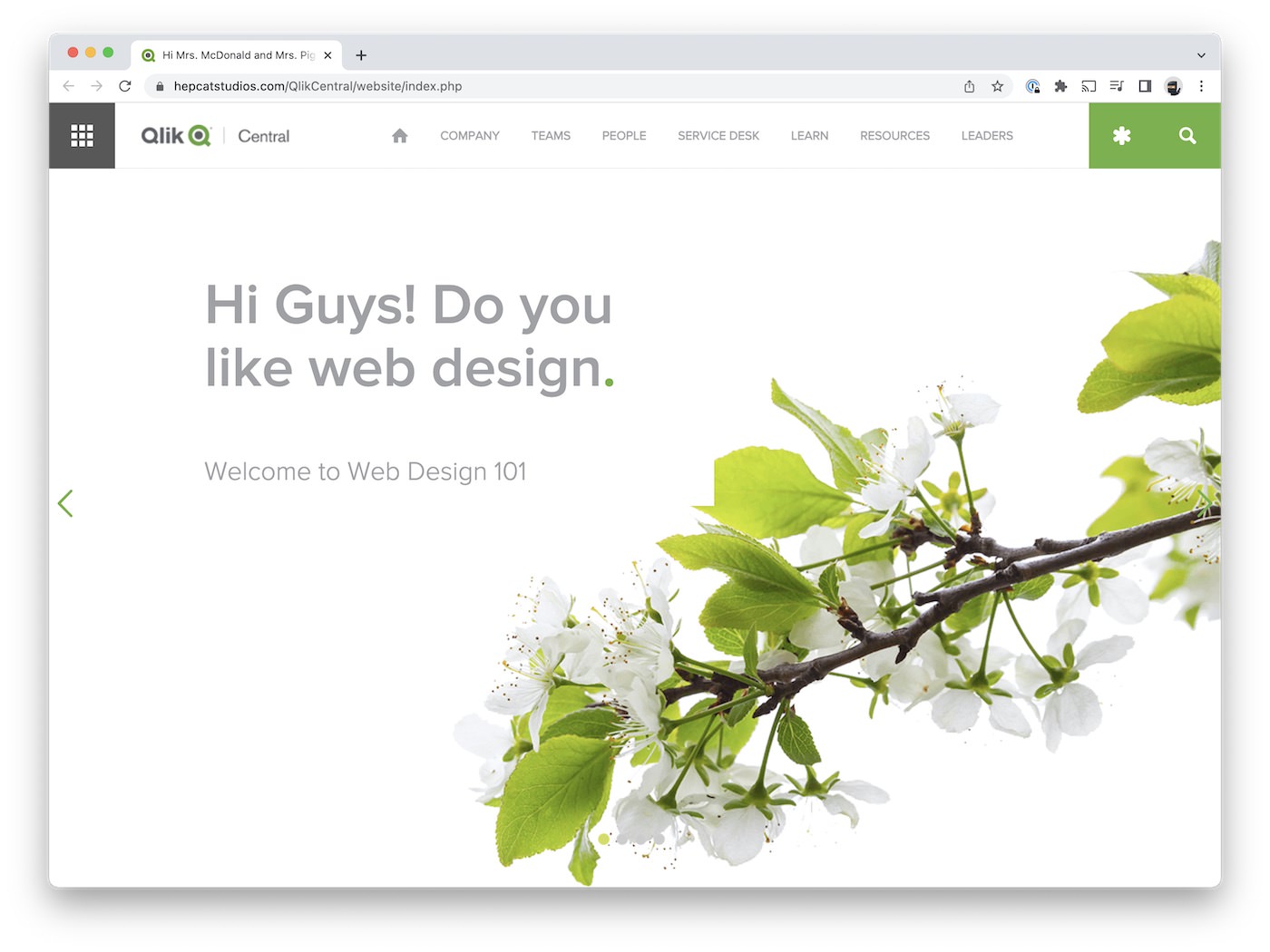 Qlik Central